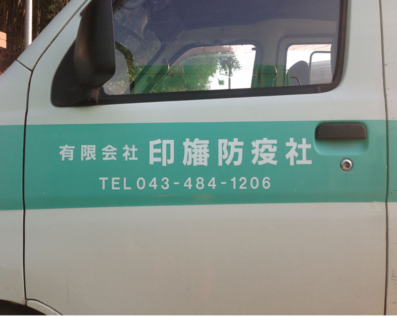 塗装+カッティングシート