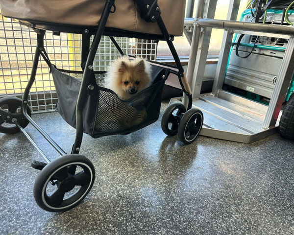 マーキングフィルム