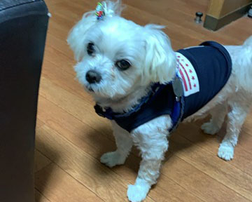 インクジェットフィルム