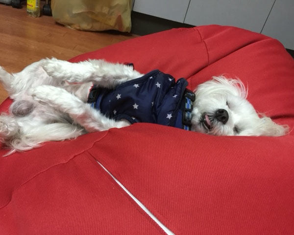 マーキングフィルム